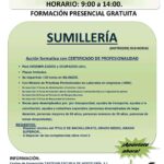 CURSO DE SUMILLERIA
