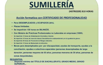 CURSO DE SUMILLERIA
